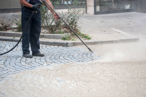 Best Boat and Dock Cleaning  in Woodville, OH