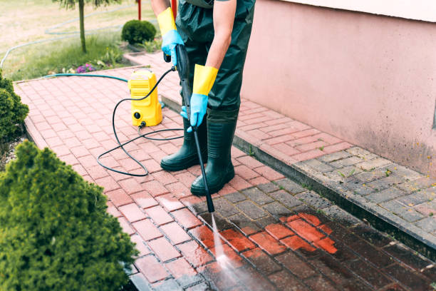 Best Pool Deck Cleaning  in Woodville, OH