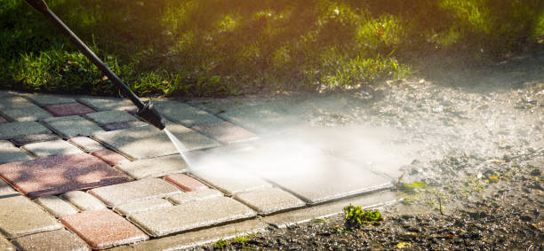 Best Fleet Vehicle Washing  in Woodville, OH